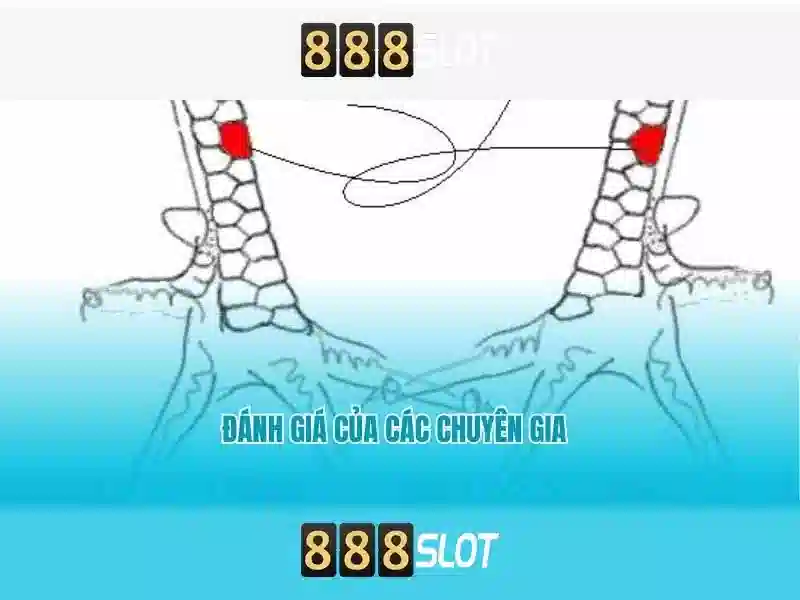 Hướng Dẫn Tải 888slot APK
