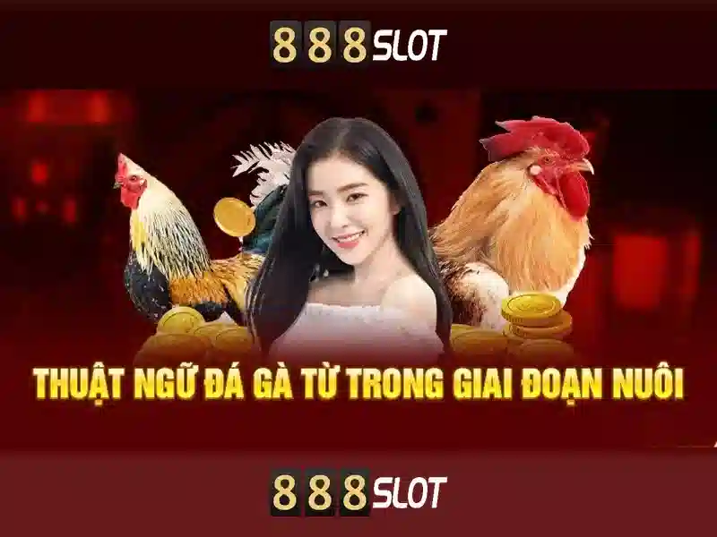 Đăng Nhập 888SLOT
