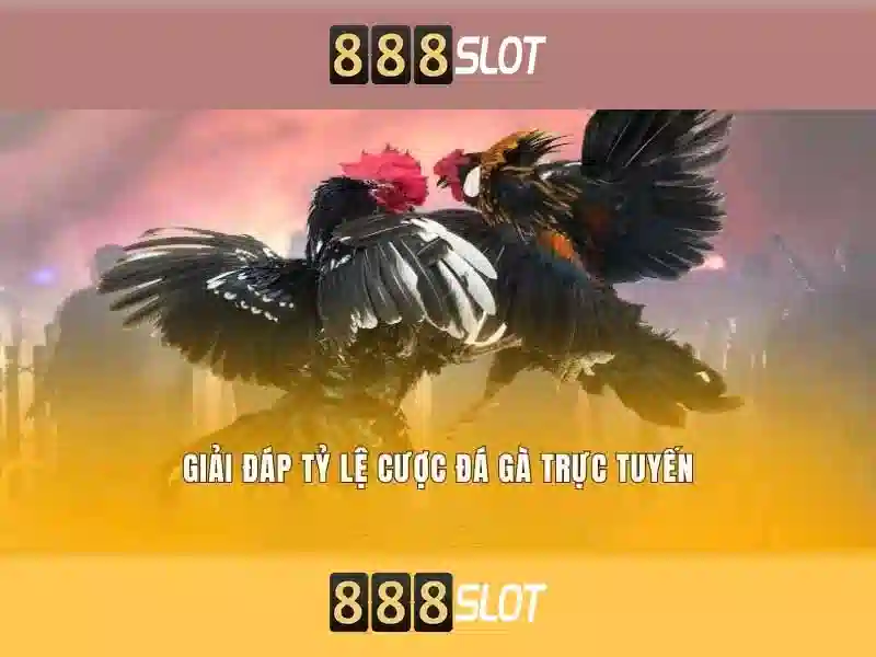 Cá Cược An Toàn 888SLOT