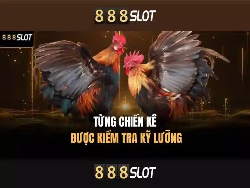 888SLOT – Mã Nhận Thưởng 888slot, Trải Nghiệm Slot 2026