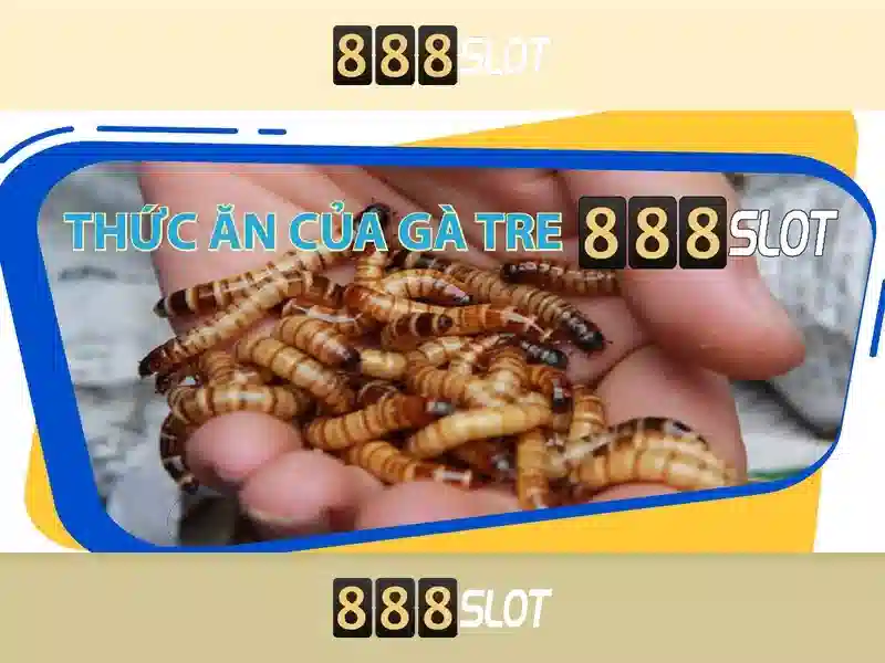 Khuyến mãi độc quyền