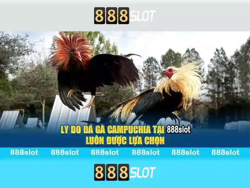 Tải APK 888SLOT