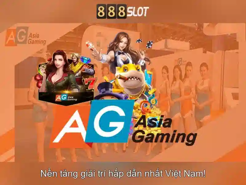 Tổng Quan Về Sàn Cá Cược Đẳng Cấp
