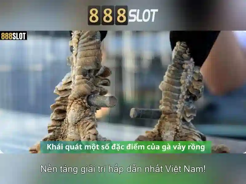 888SLOT - Trải Nghiệm Slot Chất Lượng Cao
