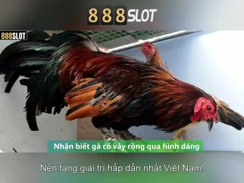 888SLOT APK - Tải APK 888SLOT Miễn Phí - Trải Nghiệm Slot Đỉnh Cao 2026