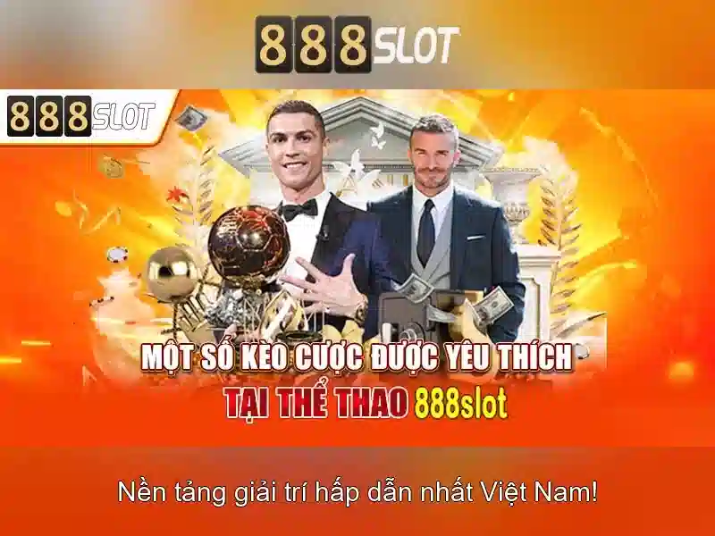 Hướng Dẫn Sử Dụng Nền Tảng