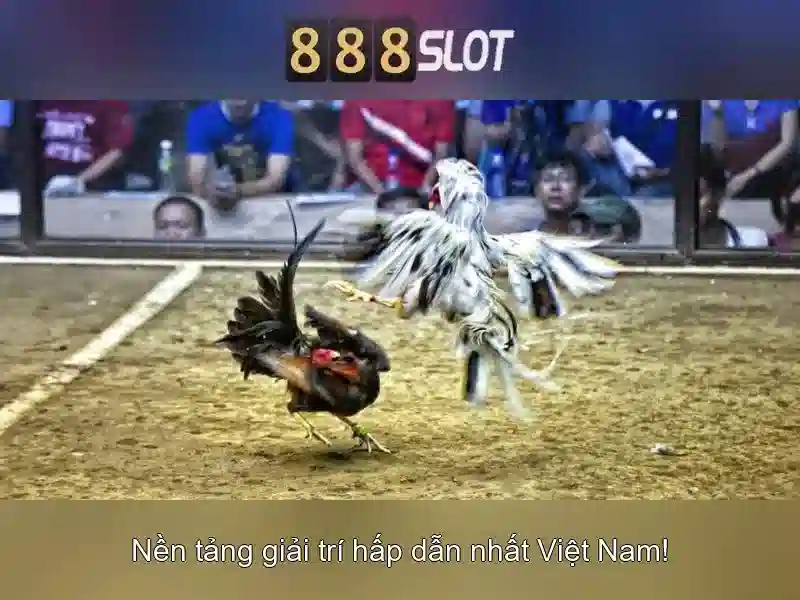 Giới Thiệu 888SLOT