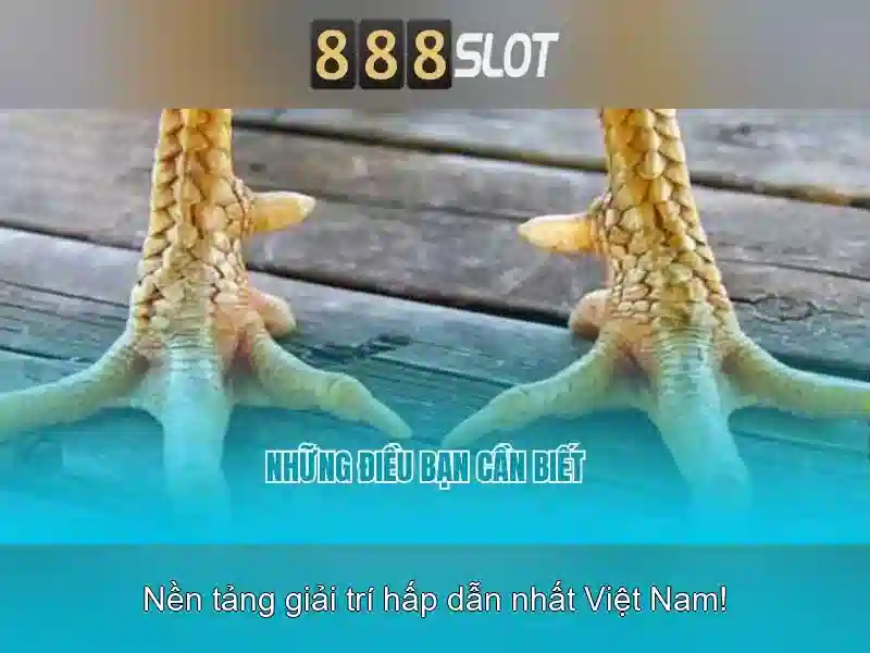 Nền tảng Slot trực tuyến uy tín hàng đầu
