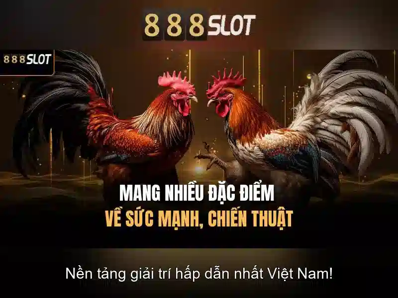 888SLOT