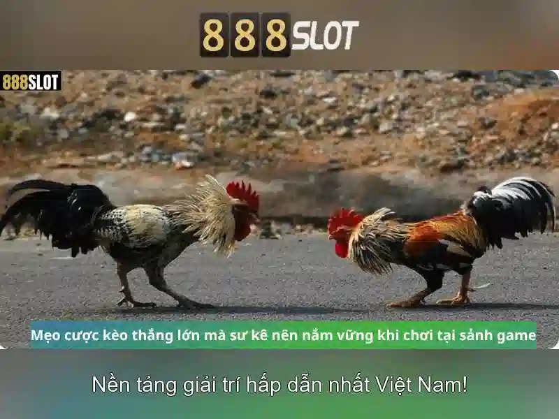 Trải nghiệm Slot Game