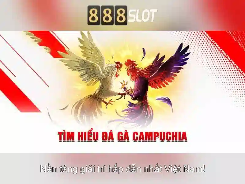 Tại Sao Chọn 888SLOT Cho Hỗ Trợ Nhanh Chóng